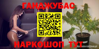 гашик Балахна