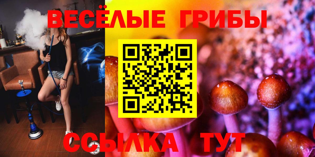 Галлюциногенные грибы MAGIC MUSHROOMS Томск