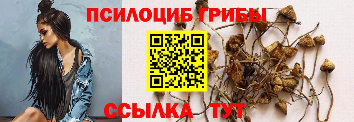 Галлюциногенные грибы MAGIC MUSHROOMS  Псилоцибиновые грибы мухоморы  Томск 